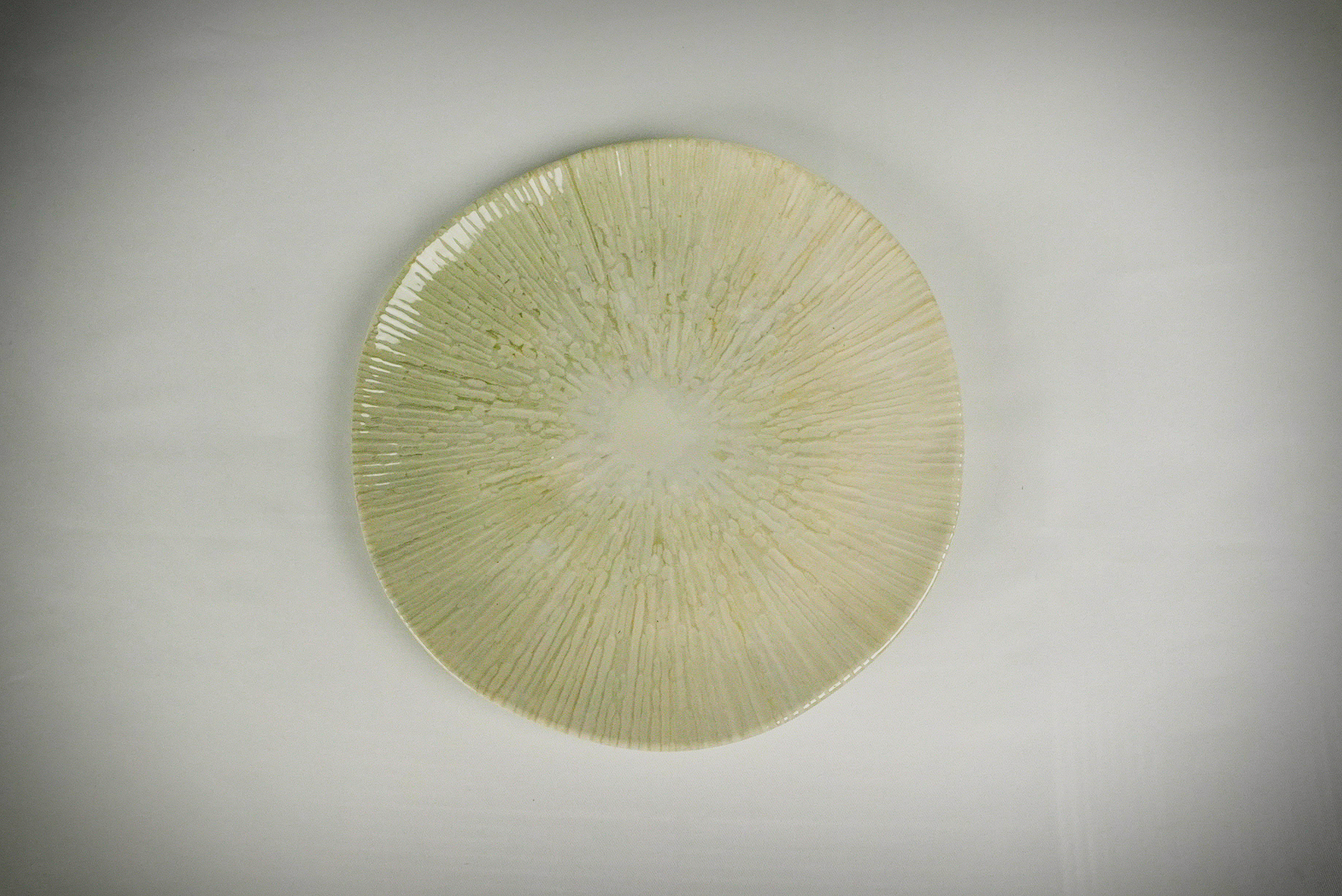 Coral dinerbord